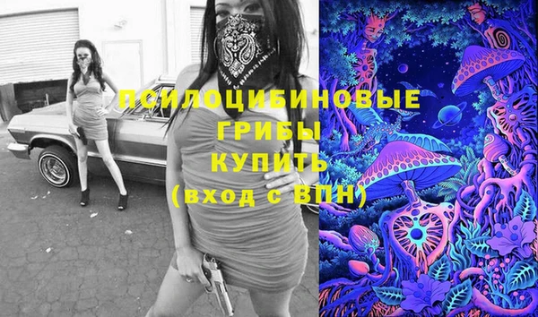 соль ск Волоколамск