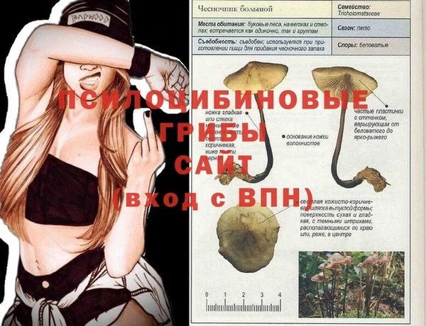 mix Володарск