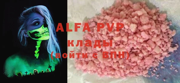 PSILOCYBIN Вяземский