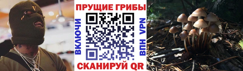 купить  сайты  Зарайск  Псилоцибиновые грибы Magic Shrooms 